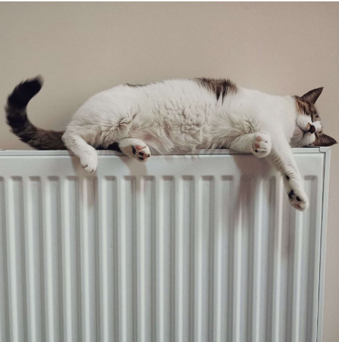 Πώς να ρυθμίσετε τη θερμοκρασία στον χώρο σας!