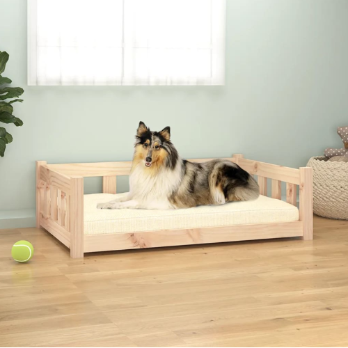 Κατοικίδια και χειμώνας: πώς να κάνεις το σπίτι τους πιο άνετο και ζεστό!