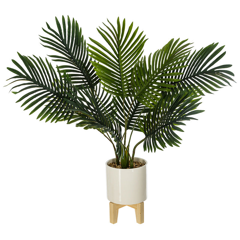 Φυτό σε γλάστρα Green4  83x75x65εκ - Image 1