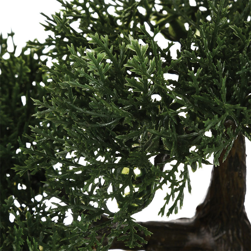 Φυτό σε γλάστρα Green18  35x32x34εκ - Image 2
