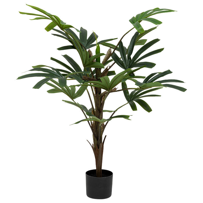 Φυτό σε γλάστρα Emeric  15x13x120εκ - Pakobazaar