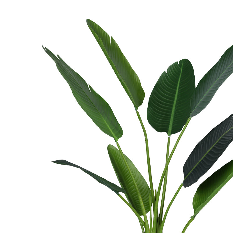 Διακοσμητικό φυτό Palm tree σε γλάστρα Inart πράσινο pp Υ120εκ - Pakobazaar