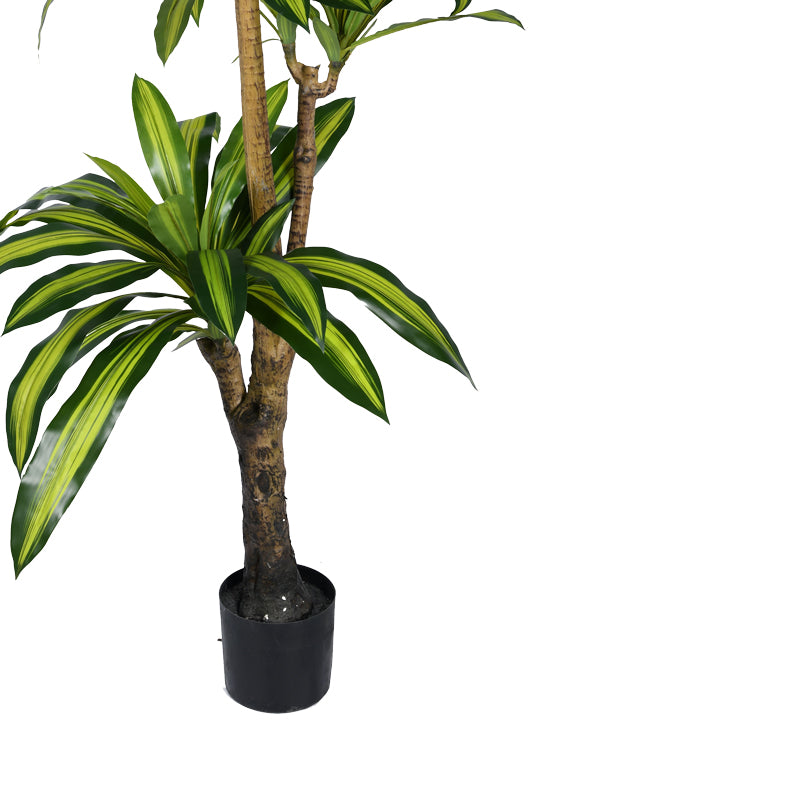 Διακοσμητικό φυτό Dracaena I σε γλάστρα Inart πράσινο pp Υ170εκ - Pakobazaar