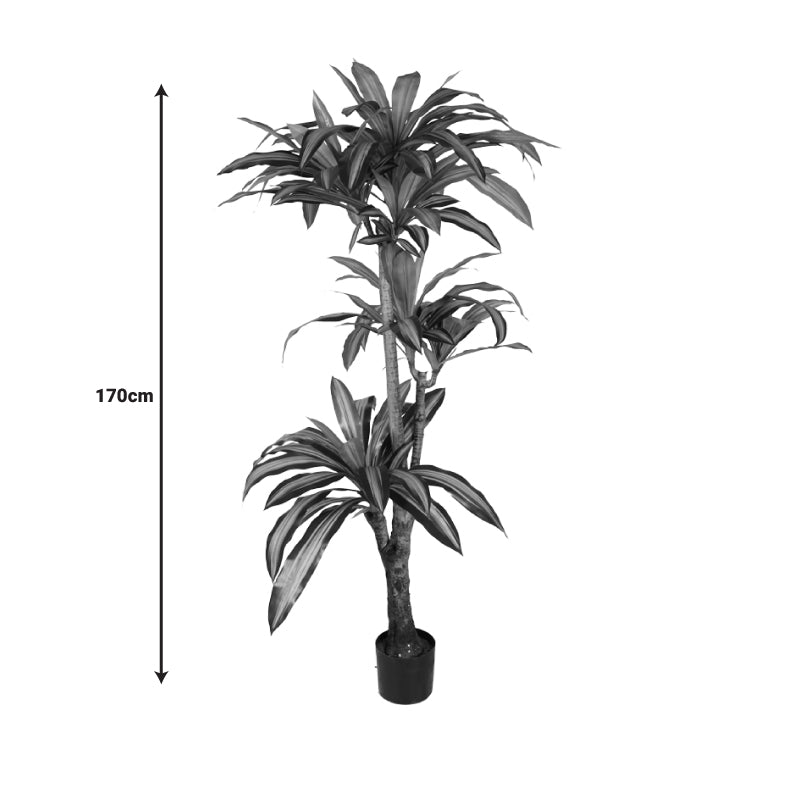 Διακοσμητικό φυτό Dracaena I σε γλάστρα Inart πράσινο pp Υ170εκ - Pakobazaar