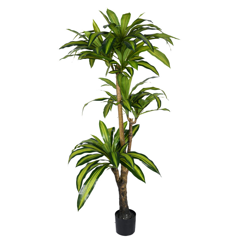 Διακοσμητικό φυτό Dracaena I σε γλάστρα Inart πράσινο pp Υ170εκ - Pakobazaar