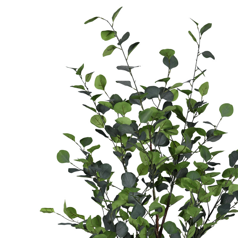 Διακοσμητικό φυτό Eucalyptus Ι σε γλάστρα Inart πράσινο pp Υ150εκ - Pakobazaar