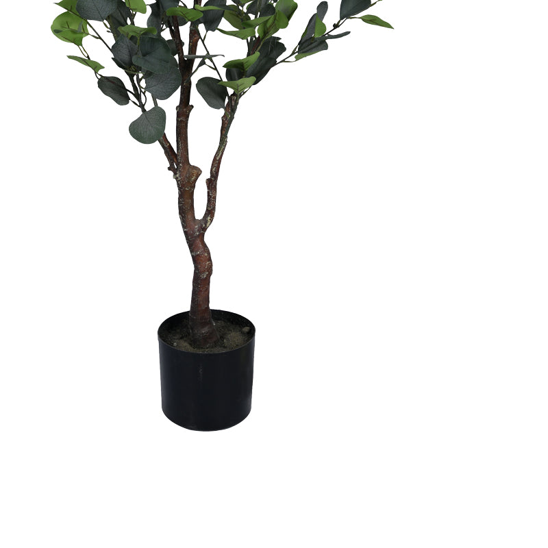 Διακοσμητικό φυτό Eucalyptus Ι σε γλάστρα Inart πράσινο pp Υ150εκ - Pakobazaar