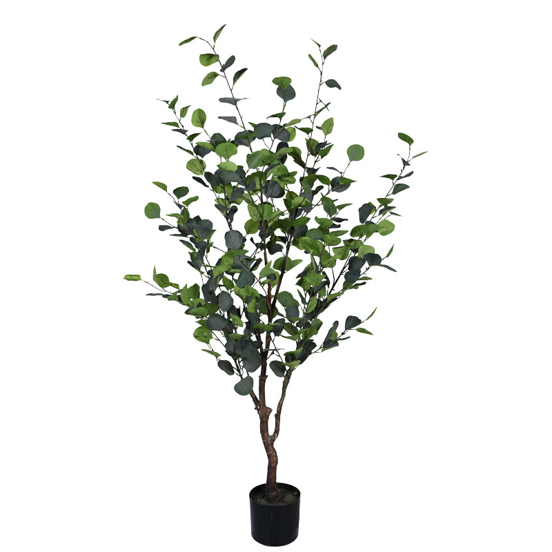 Διακοσμητικό φυτό Eucalyptus Ι σε γλάστρα Inart πράσινο pp Υ150εκ - Pakobazaar