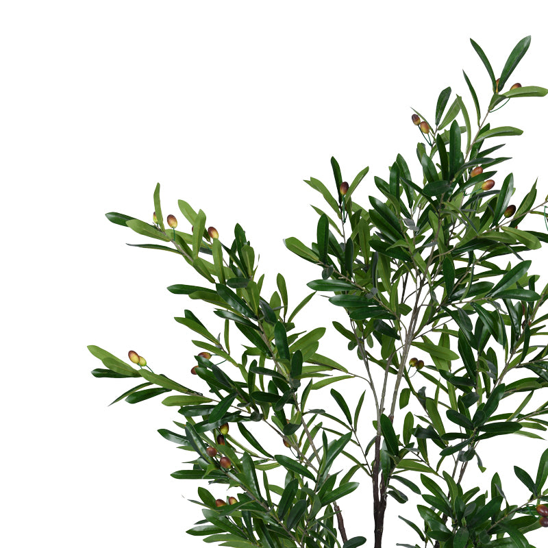 Διακοσμητικό φυτό Olive tree I σε γλάστρα Inart πράσινο pp Υ150εκ - Pakobazaar