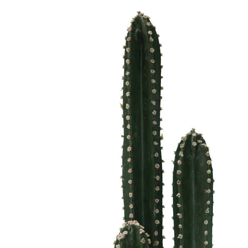 Διακοσμητικό φυτό Cactus III σε γλάστρα Inart πράσινο pp Υ85εκ - Image 2