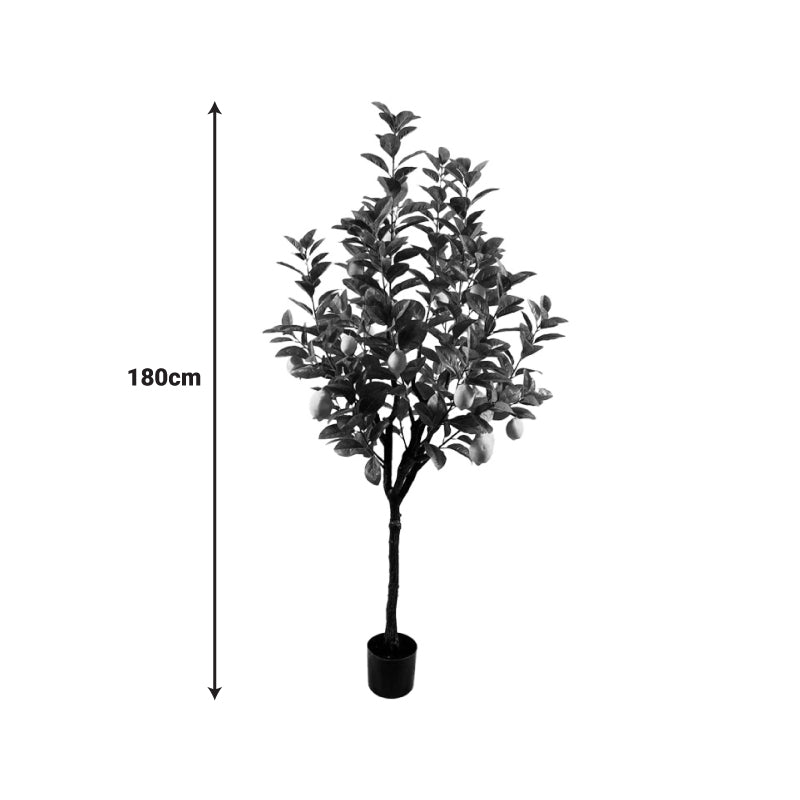 Διακοσμητικό φυτό Lemon tree σε γλάστρα Inart πράσινο pp Υ180εκ - Pakobazaar