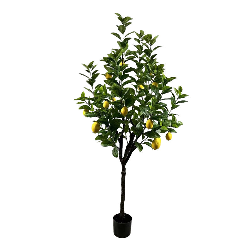 Διακοσμητικό φυτό Lemon tree σε γλάστρα Inart πράσινο pp Υ180εκ - Pakobazaar