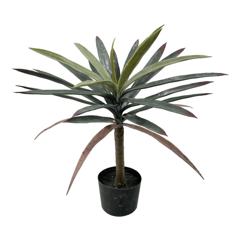 Διακοσμητικό φυτό Dracaena palm σε γλάστρα Inart πράσινο pp Υ62εκ - Image 1