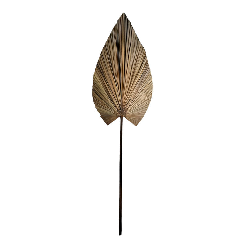 Διακοσμητικό φύλλο Leafen  φυσικό palm leaf 134εκ - Pakobazaar
