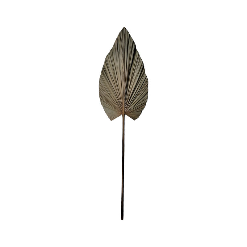Διακοσμητικό φύλλο Leafen I Inart φυσικό palm leaf 121εκ - Pakobazaar