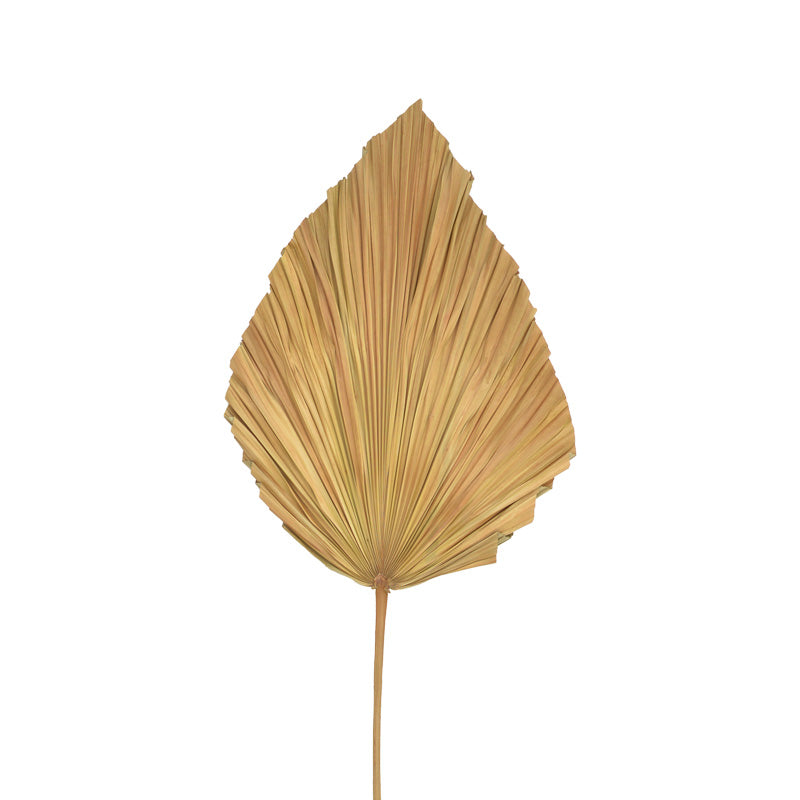 Διακοσμητικό φύλλο Walsy Inart palm leaf σε φυσική απόχρωση Υ135 εκ - Pakobazaar