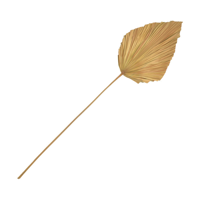 Διακοσμητικό φύλλο Walsy Inart palm leaf σε φυσική απόχρωση Υ135 εκ - Pakobazaar