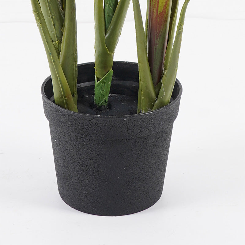 Διακοσμητικό φυτό σε γλάστρα Cycas Inart πράσινο Φ55x80εκ - Pakobazaar