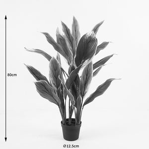 Διακοσμητικό φυτό σε γλάστρα Cycas Inart πράσινο Φ55x80εκ - Pakobazaar