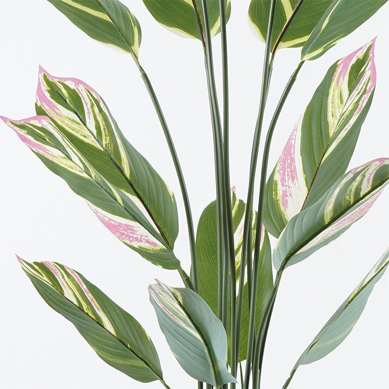 Διακοσμητικό φυτό σε γλάστρα Aglaonema Inart πράσινο Φ80x150εκ - Pakobazaar