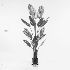Διακοσμητικό φυτό σε γλάστρα Aglaonema Inart πράσινο Φ80x150εκ - Pakobazaar