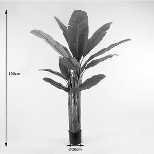 Διακοσμητικό φυτό σε γλάστρα Banana Tree Inart πράσινο Φ53x190εκ - Pakobazaar