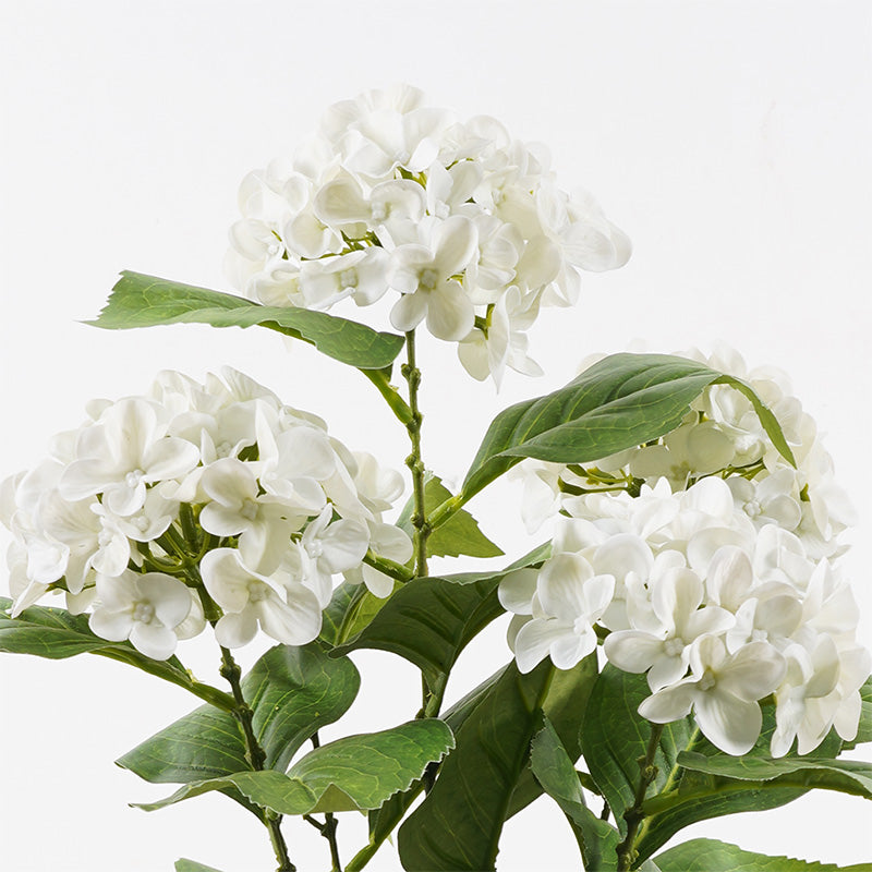 Διακοσμητικό φυτό σε γλάστρα Hydrangea Inart λευκό Φ35x50εκ - Pakobazaar
