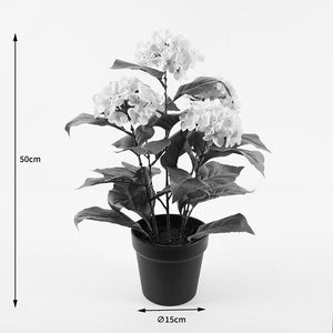 Διακοσμητικό φυτό σε γλάστρα Hydrangea Inart λευκό Φ35x50εκ - Pakobazaar