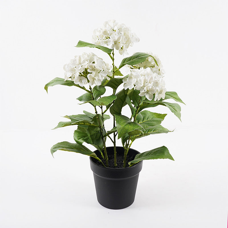 Διακοσμητικό φυτό σε γλάστρα Hydrangea Inart λευκό Φ35x50εκ - Pakobazaar