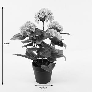 Διακοσμητικό φυτό σε γλάστρα Hydrangea Inart ροζ Φ35x50εκ - Pakobazaar
