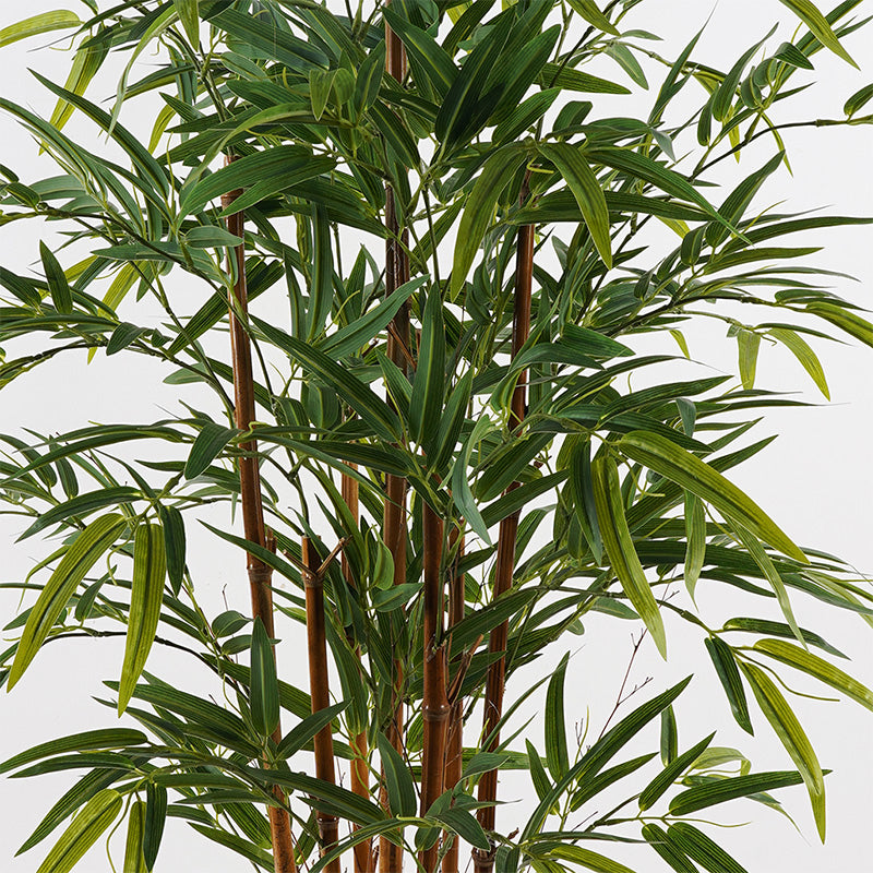 Διακοσμητικό φυτό σε γλάστρα Rhapis Palm Inart πράσινο Φ60x120εκ - Pakobazaar