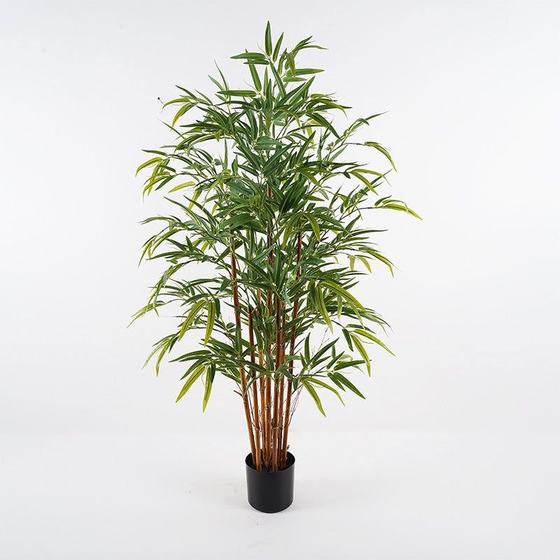 Διακοσμητικό φυτό σε γλάστρα Rhapis Palm Inart πράσινο Φ60x120εκ - Pakobazaar