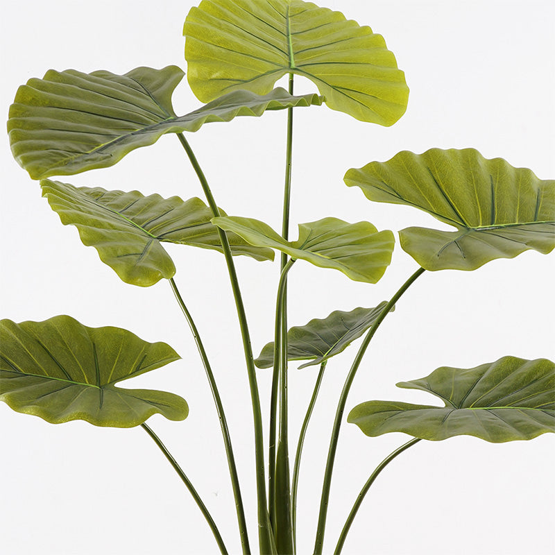 Διακοσμητικό φυτό σε γλάστρα Alocasia Inart πράσινο Φ90x120εκ - Pakobazaar