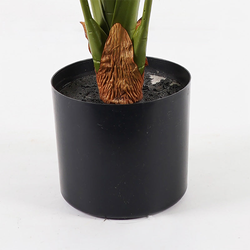 Διακοσμητικό φυτό σε γλάστρα Alocasia Inart πράσινο Φ90x120εκ - Pakobazaar
