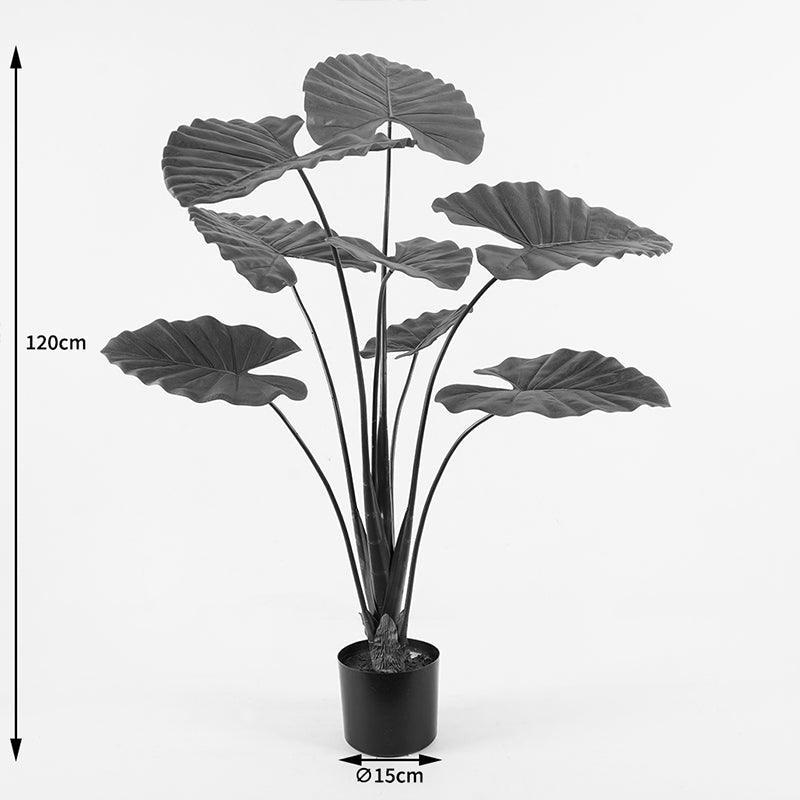 Διακοσμητικό φυτό σε γλάστρα Alocasia Inart πράσινο Φ90x120εκ - Pakobazaar