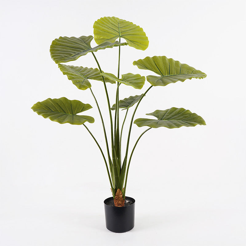 Διακοσμητικό φυτό σε γλάστρα Alocasia Inart πράσινο Φ90x120εκ - Pakobazaar