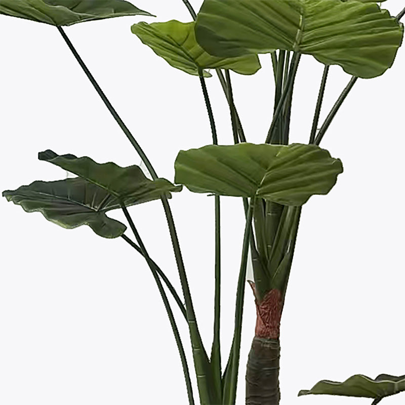 Διακοσμητικό φυτό σε γλάστρα Taro Plant Inart πράσινο Φ90x180εκ - Pakobazaar