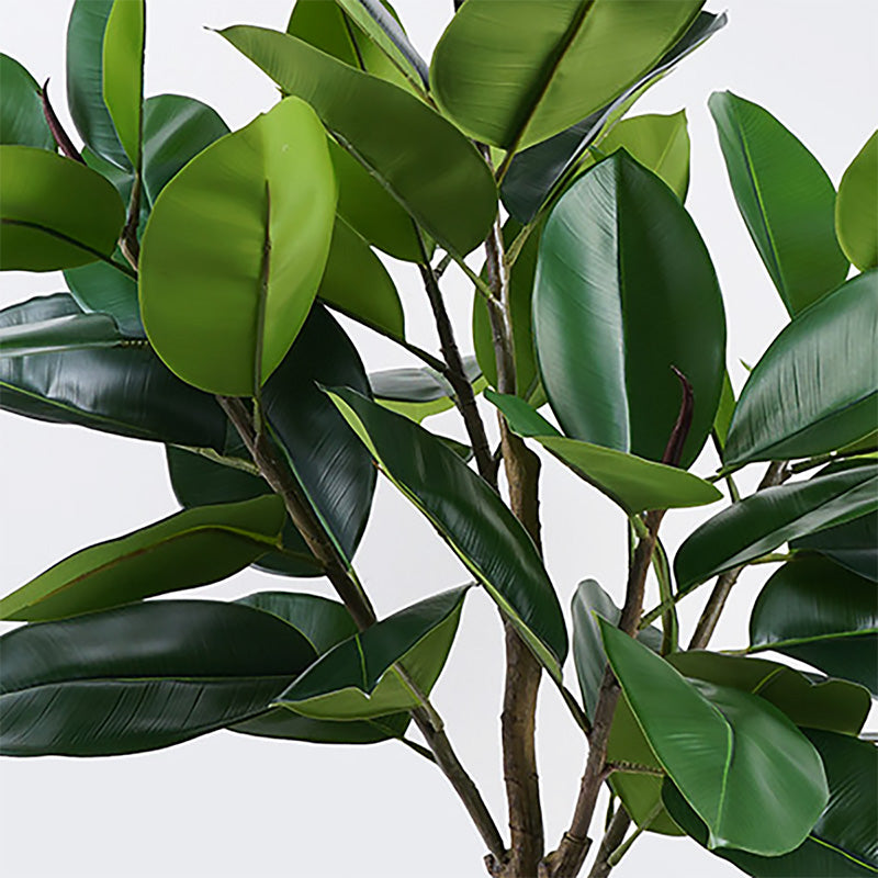 Διακοσμητικό φυτό σε γλάστρα Ficus Lyrata Inart πράσινο Φ70x130εκ - Pakobazaar