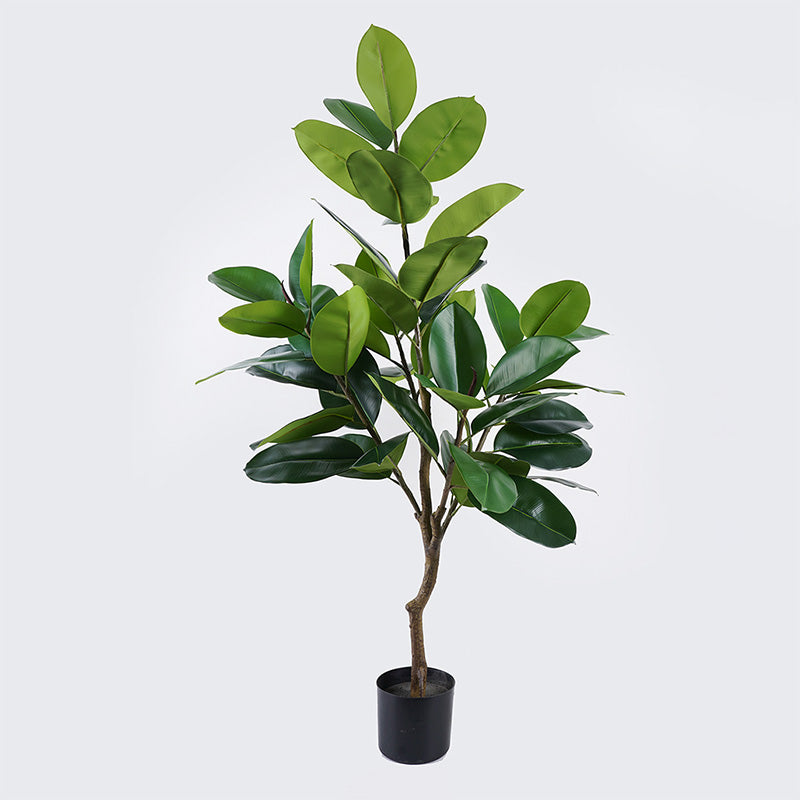 Διακοσμητικό φυτό σε γλάστρα Ficus Lyrata Inart πράσινο Φ70x130εκ - Pakobazaar