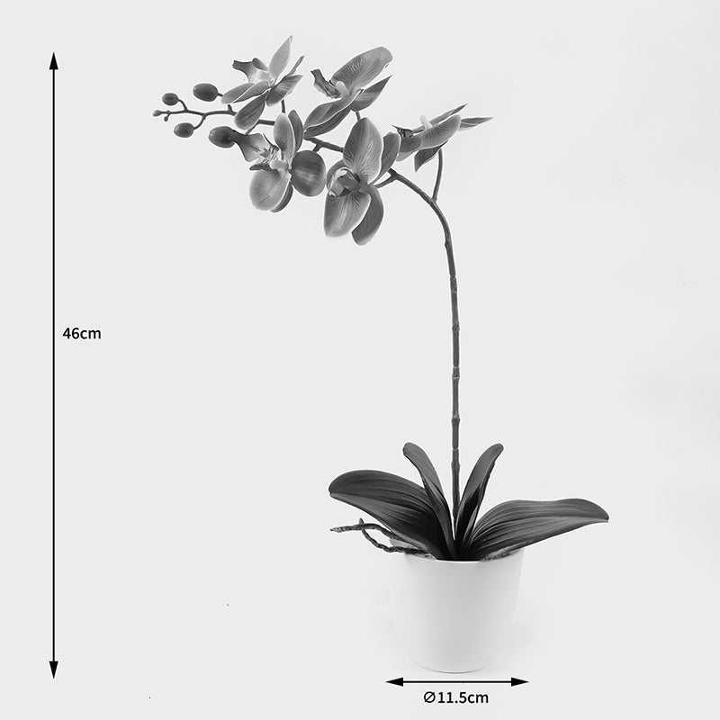 Διακοσμητικό φυτό σε γλάστρα Οrchid Beauty Inart 30x13x46εκ - Pakobazaar