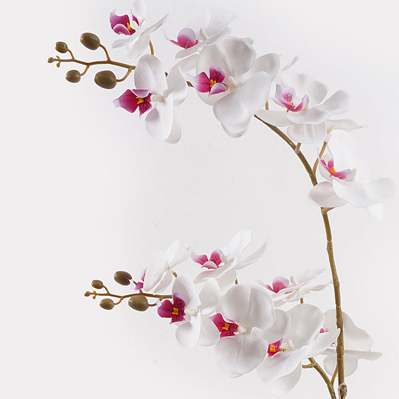 Διακοσμητικό φυτό σε γλάστρα Οrchid White Inart 36x17x65εκ - Pakobazaar