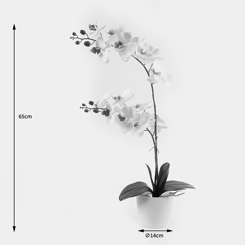 Διακοσμητικό φυτό σε γλάστρα Οrchid White Inart 36x17x65εκ - Pakobazaar