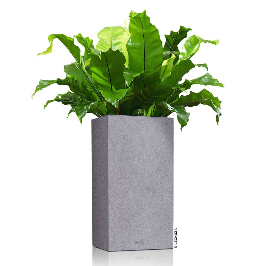 LECHUZA Ζαρντινιέρα CANTO Stone 40 High ALL-IN-ONE Γκρι Πέτρας