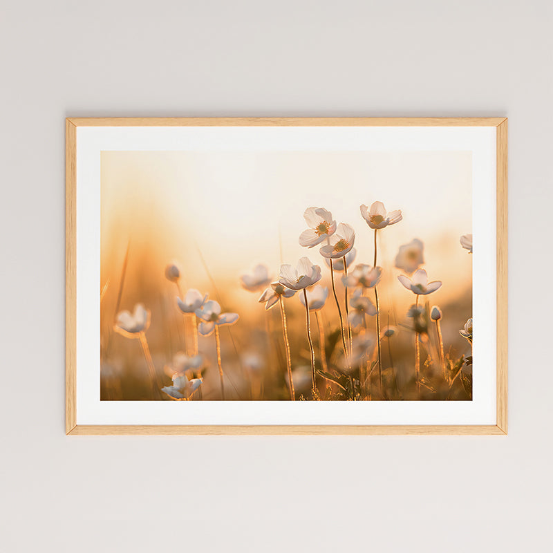 Πίνακας Floraza  με ψηφιακή εκτύπωση και πλαίσιο 48x1.5x33εκ