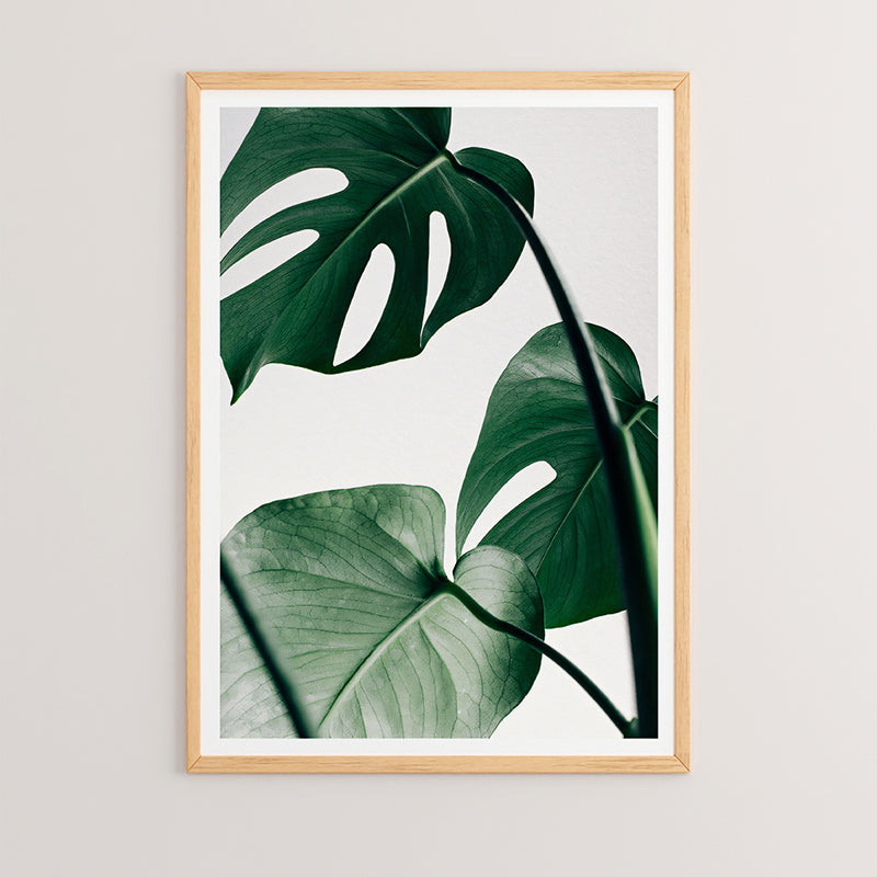 Πίνακας Leafy  με ψηφιακή εκτύπωση και πλαίσιο 33x1.5x48εκ - Pakobazaar