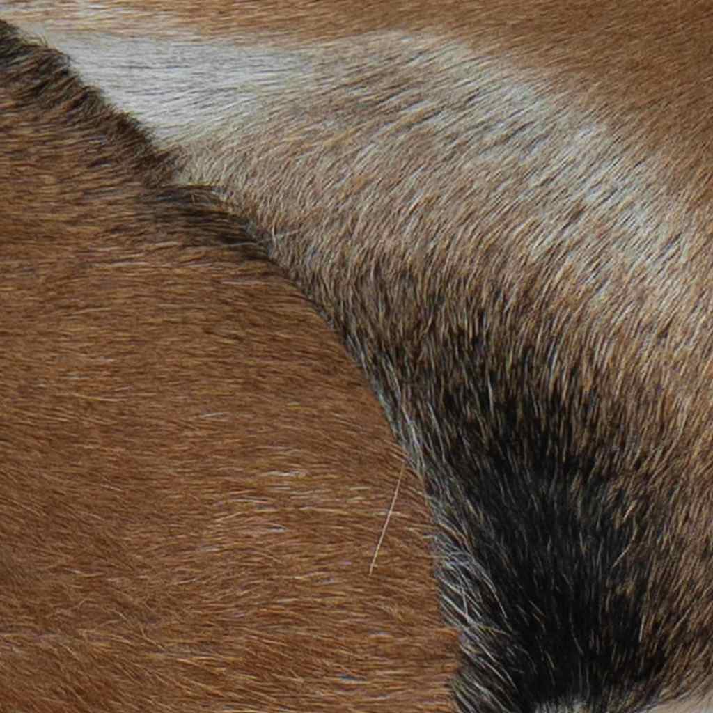 Παγκάκι από Δέρμα Κατσίκας / Ξύλο Teak - PAKOBAZAAR