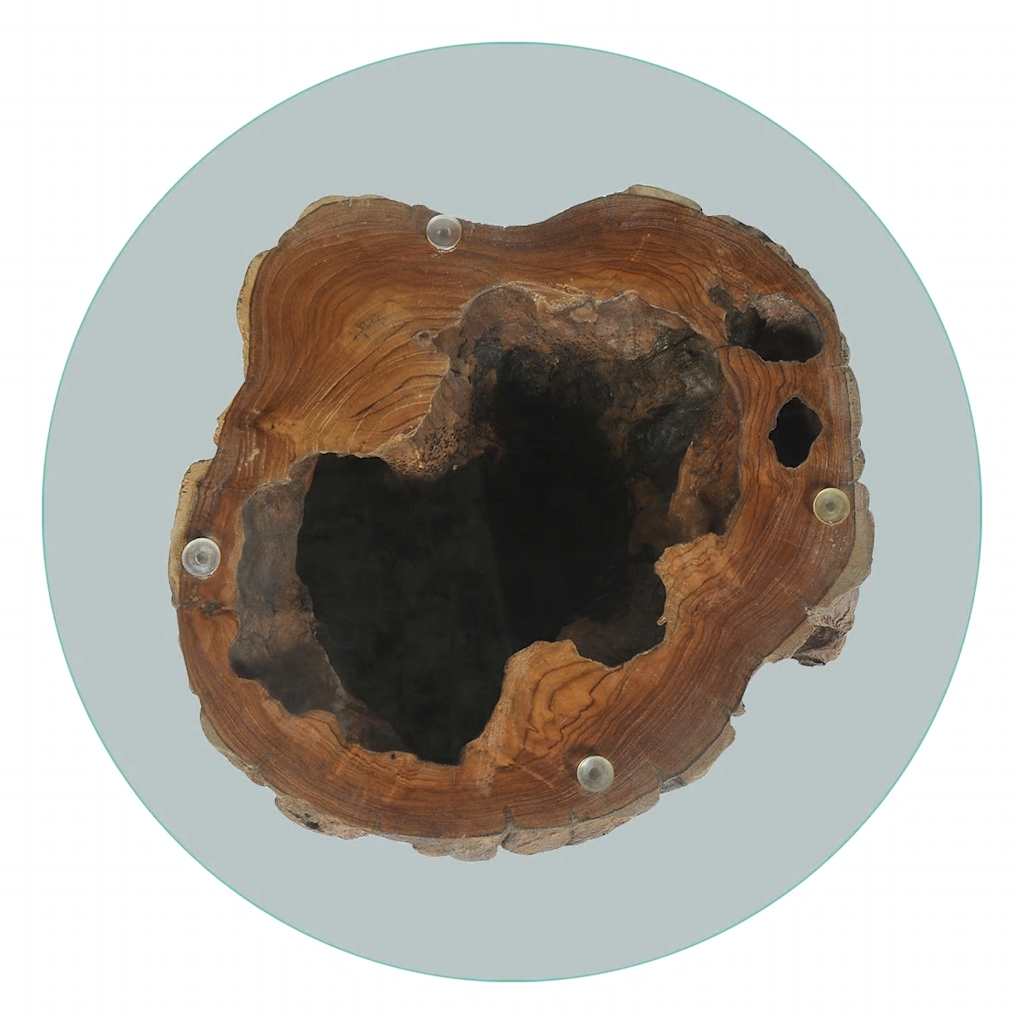 Τραπεζάκι Σαλονιού 50 x 40 εκ. από Ξύλο Teak / Γυαλί - PAKOBAZAAR