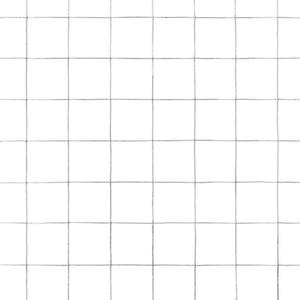 Συρματόπλεγμα Κοτετσόσυρμα Ασημί 10 x 1,5 μ. Γαλβαν. Ατσάλι - PAKOBAZAAR