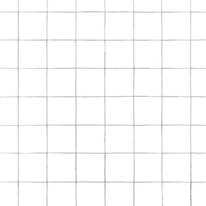 Συρματόπλεγμα Κοτετσόσυρμα Ασημί 10 x 1,5 μ. Γαλβαν. Ατσάλι - PAKOBAZAAR