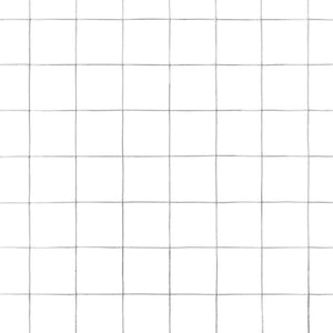 Συρματόπλεγμα Κοτετσόσυρμα Ασημί 10 x 1,5 μ. Γαλβαν. Ατσάλι - PAKOBAZAAR